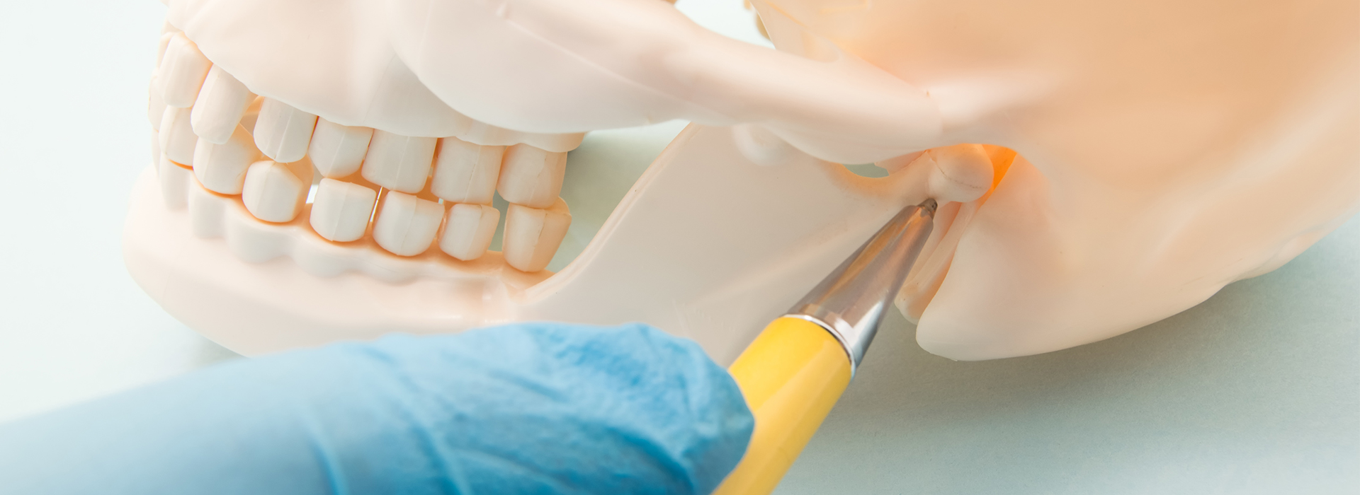 Michael J. Perona, DDS | Intraoral Camera, Sports Mouthguards and Full Mouth Reconstruction
